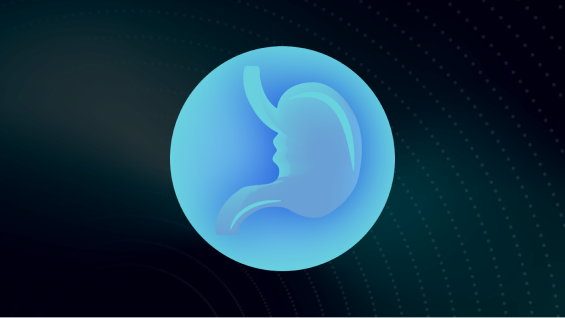 3D digital rendering of human gastrointestinal digestive tract.