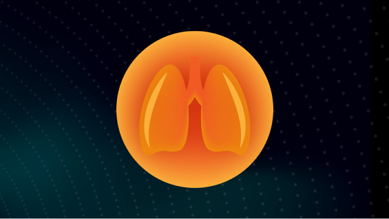 3D digital rendering of human.
