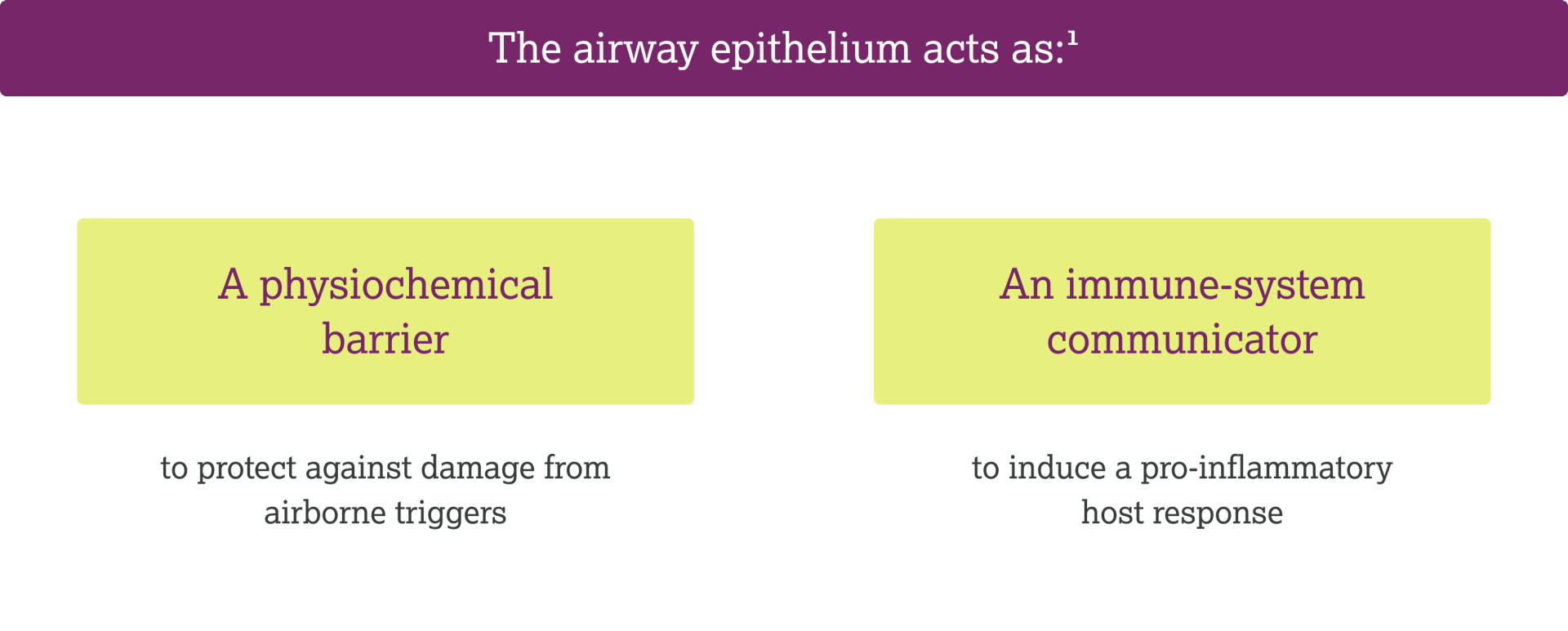 fifth-modal